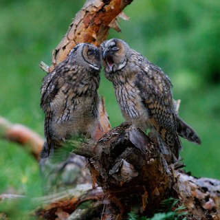 20260704-IMG_8966_crop_2048